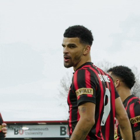 Premier League Sport GIF by AFC Bournemouth
