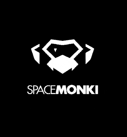 Space Monkey GIF by SpaceMonki Club Zurich