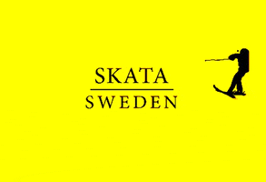 Skata Sweden GIF
