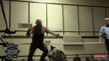 Pittsburgh GIF