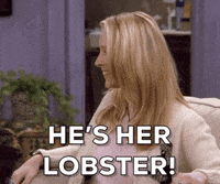 Friends-season-2 GIFs - Get the best GIF on GIPHY
