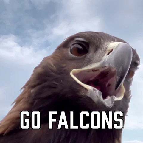 Atlanta Falcons Sport GIF