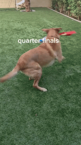 Lola GIF