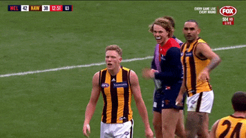 football wave GIF by AFL