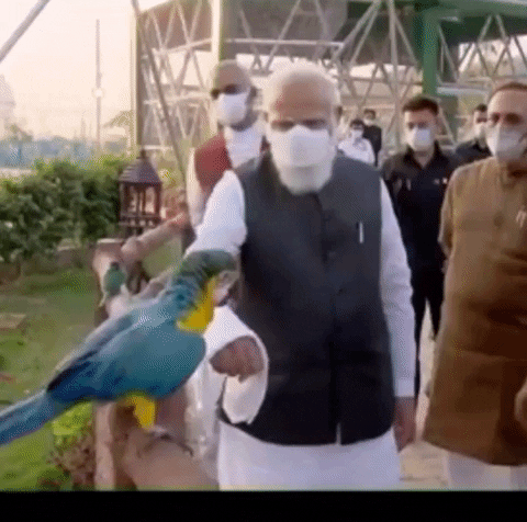 Modi-funny GIFs - Get the best GIF on GIPHY