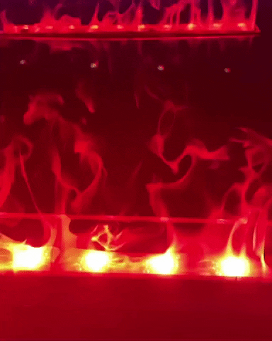 zolaystudio fire lit a forest for the trees aforestla GIF