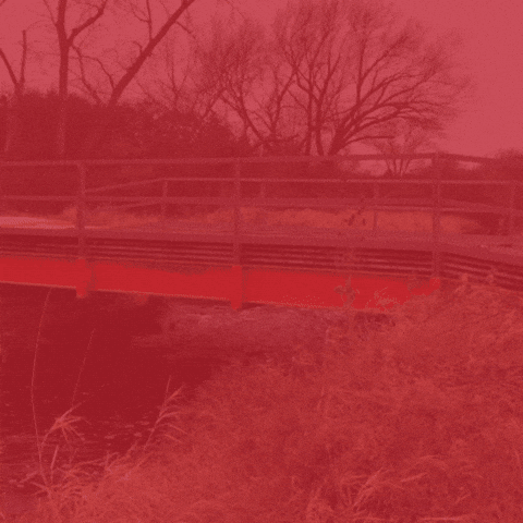 Timber Mats For Sale GIF