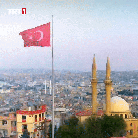 Flag Turkey GIF by TRT