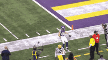 Celebration Point GIF by Minnesota Vikings