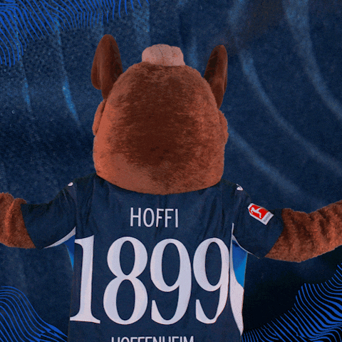 Sport Bundesliga GIF by TSG Hoffenheim