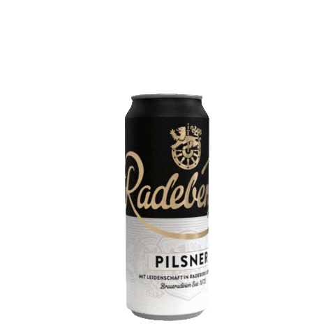 Beer Bier Sticker by radeberger