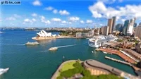 sydney GIF