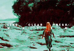 battle of the five armies