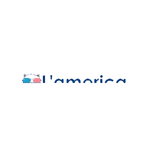 Lamerica Idiomas Sticker