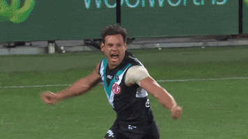 Aussie Rules Football GIF by Port Adelaide FC