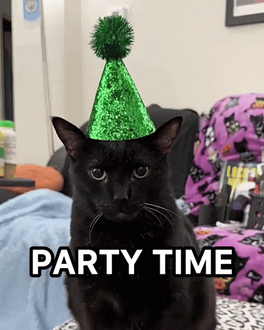 Black Cat Party Time GIF
