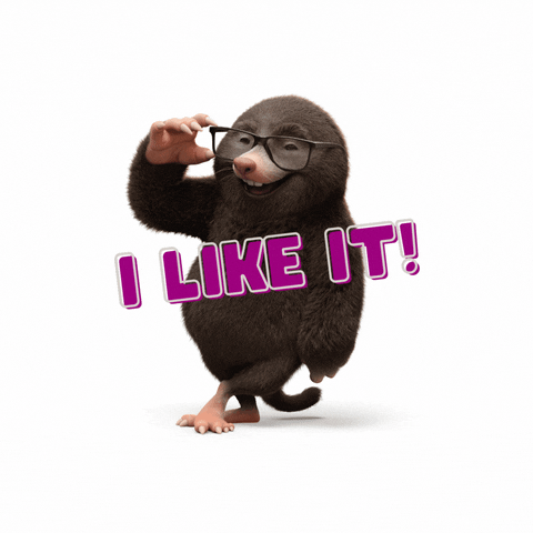I Like It Glasses GIF by VisionExpress