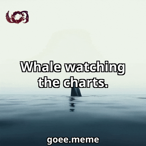 Whale Watching GIF by Goeememe
