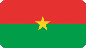 Coupe Monde GIF