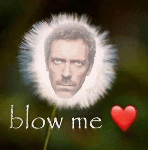 House Md Dandelion GIF
