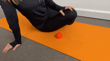 Exercices GIF