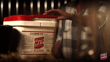 MVP GIF