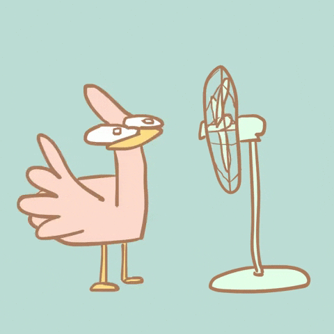 Heat Wave Fan GIF