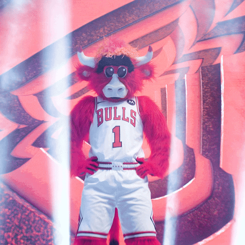 Benny The Bull Nod GIF by Chicago Bulls