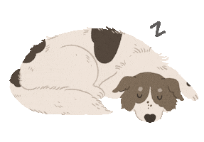 Animated Sticker