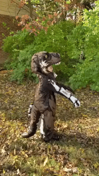 Rawr! Boy Transforms into 'Battle Damage Zombie T-Rex' in Homemade Halloween Costume