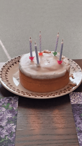 Animated GIF