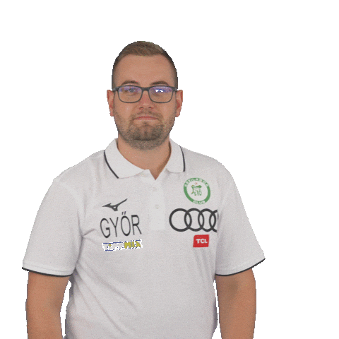 Handball Greenfamily Sticker by ETO