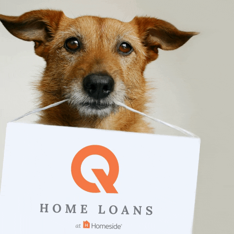 Q Home Loans GIF