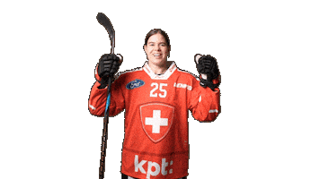 Celebrate National Team Sticker by Swiss Ice Hockey