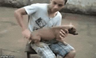 beyblades GIF