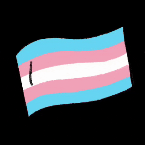 Trans Day Of Visibility Gay GIF by carriesloane