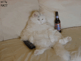 couch potato drinking GIF