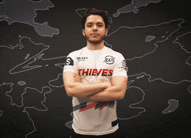 You Bet Yes GIF by 100 Thieves