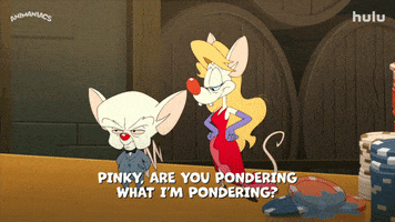 Pinky And The Brain Animation GIF by HULU