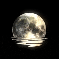Full Moon Art GIF by kidmograph