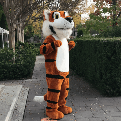 Tiger Mascot GIF by Occidental College
