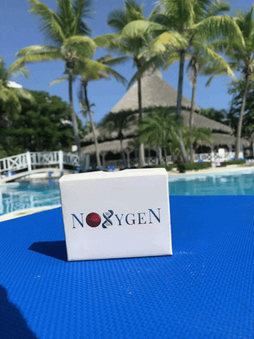 Noxygen GIF by Pitalovo labs