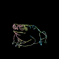 Pink Frog GIF by littlekingdoms
