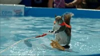 espn summer GIF by X Games