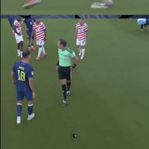 Fifa Messi GIF