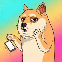 Shocked Shiba Inu GIF by Doge Pound