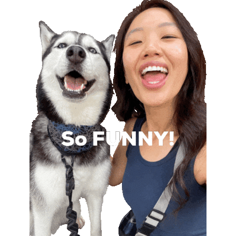 So Funny Sticker
