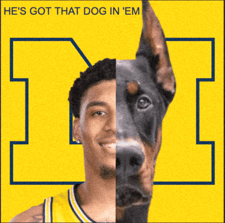 Michigan Basketball GIF