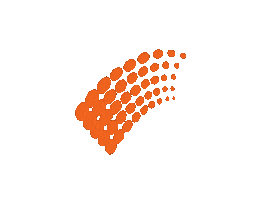 WFI SC Sticker