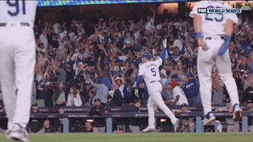 Home Run Baseball GIF